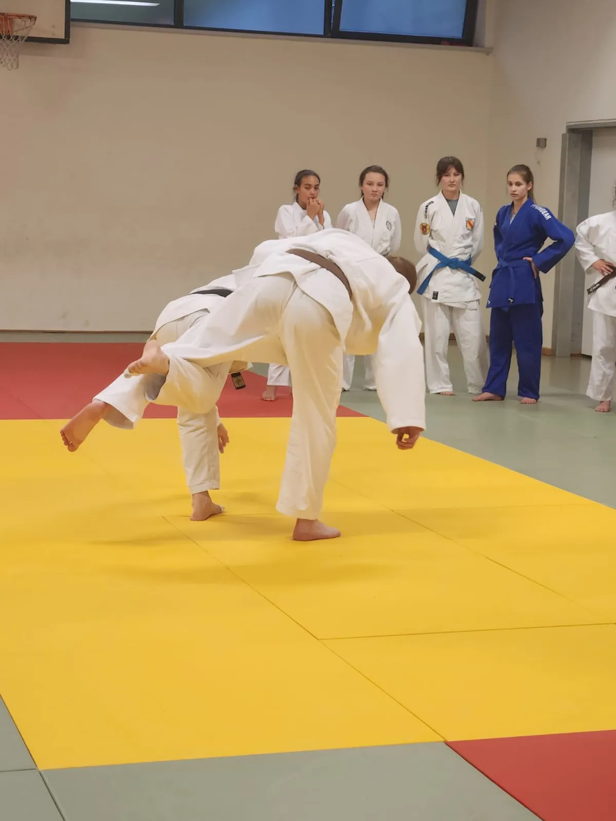 Bildergalerie - Badischer Judo-Verband