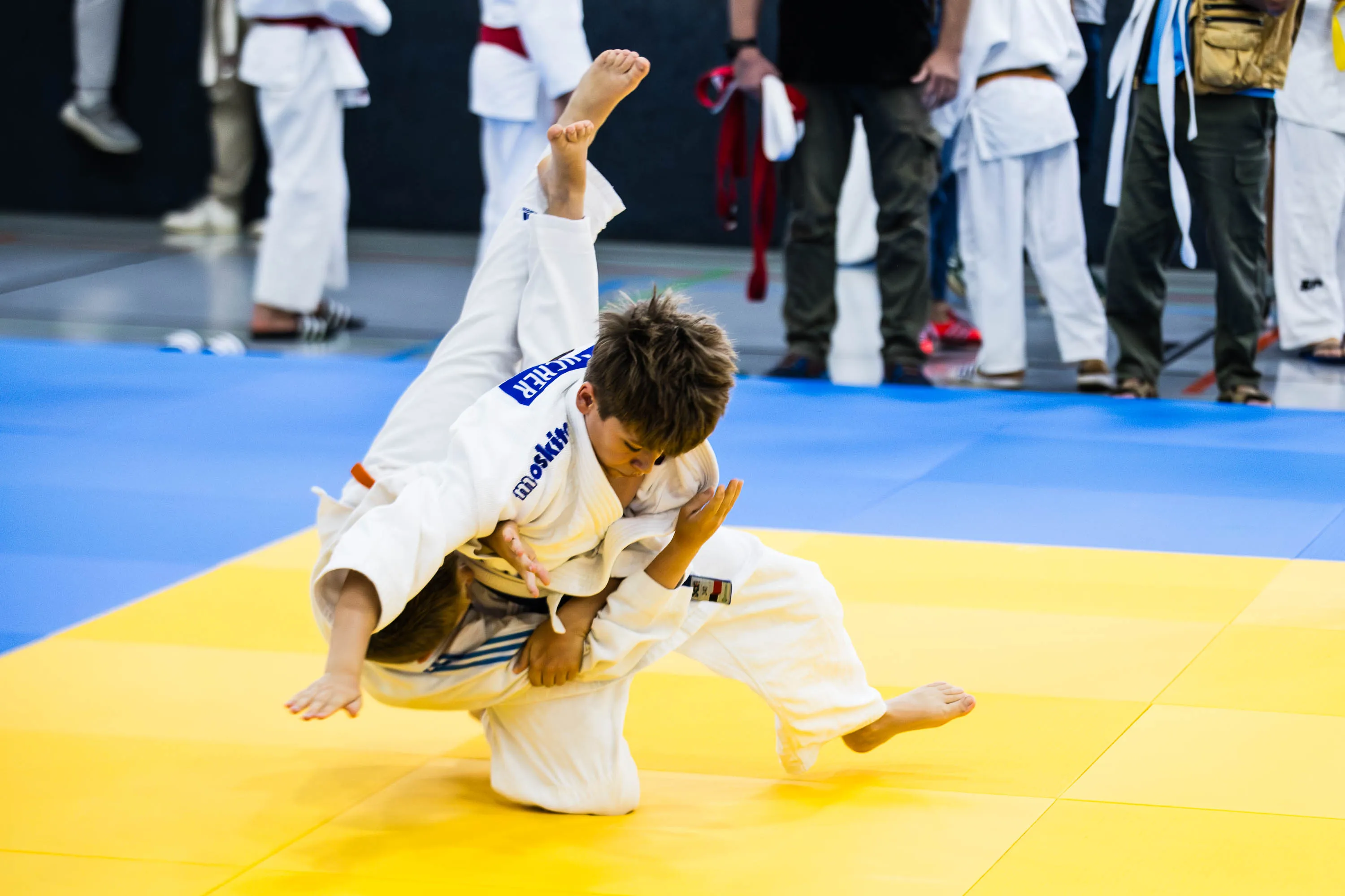 Bildergalerie - Badischer Judo-Verband